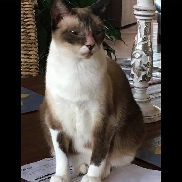 Meet your Posher, Sandra - Picture 3 of 6